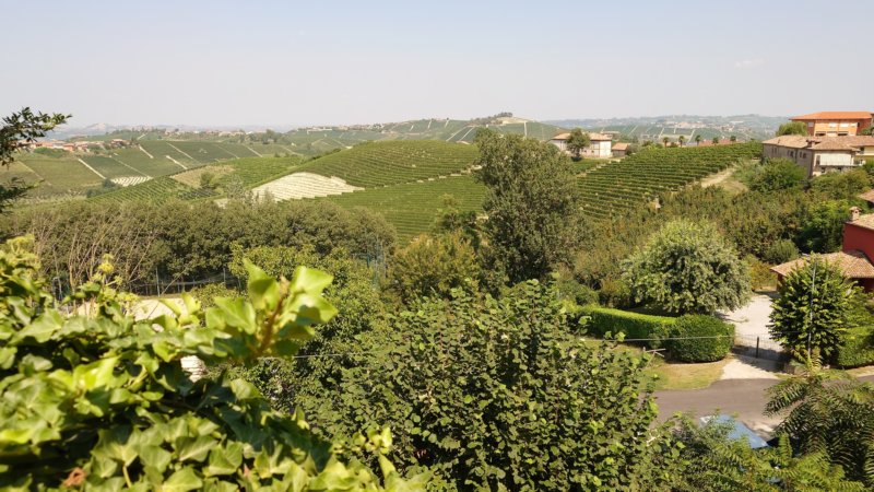 Torsdag 125