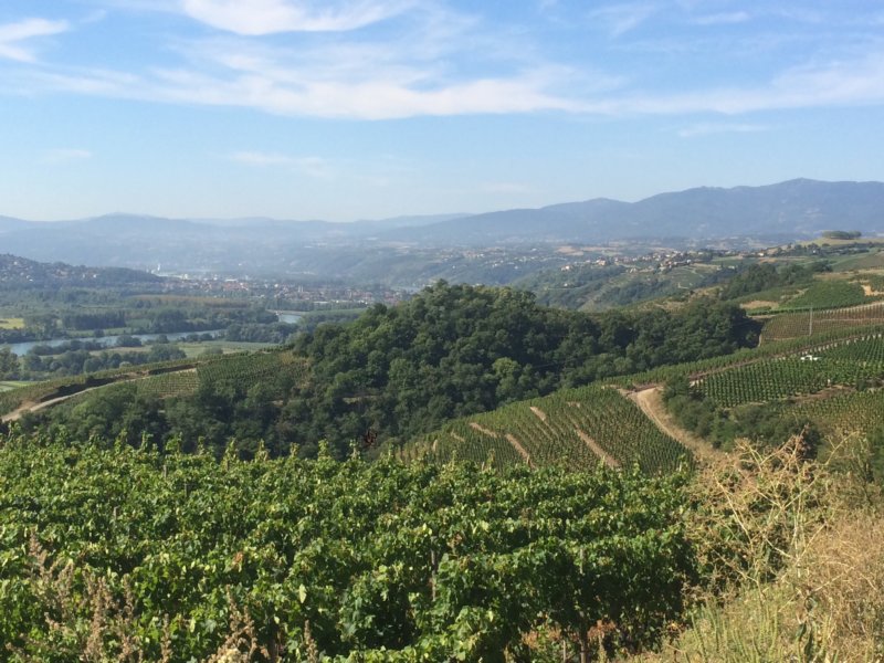 Fredag 25