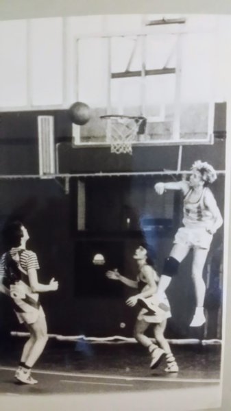 Basketboll 41