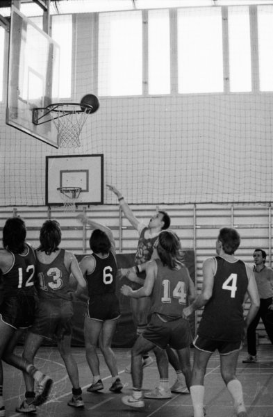 Basketboll 5