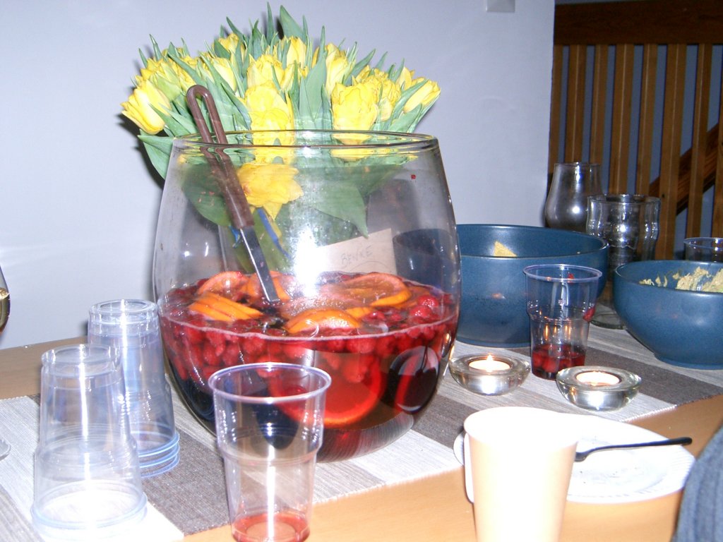 Benkes Party 15
