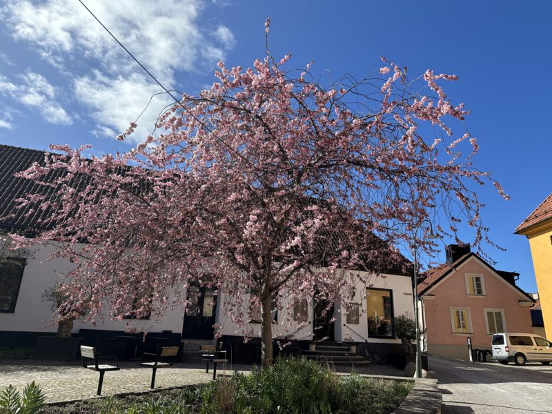 Benkes 60-års Tour 225