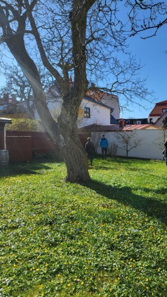 Benkes 60-års Tour 258